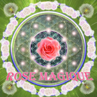 Fleur de vie Rose magique : Cette plaque véhicule les énergies magiques de guérison tant physique qu‘au niveau de l’âme. Véritable support de la magie guérisseuse de notre dame des roses elle vous permettra de donner grâce, joie, paix, compassion et amour à votre entourage et à vous-même. Amplificatrice de tous les soins, elle vous soutiendra dans toutes vos activités tournées vers le mieux être et vers l’harmonisation.